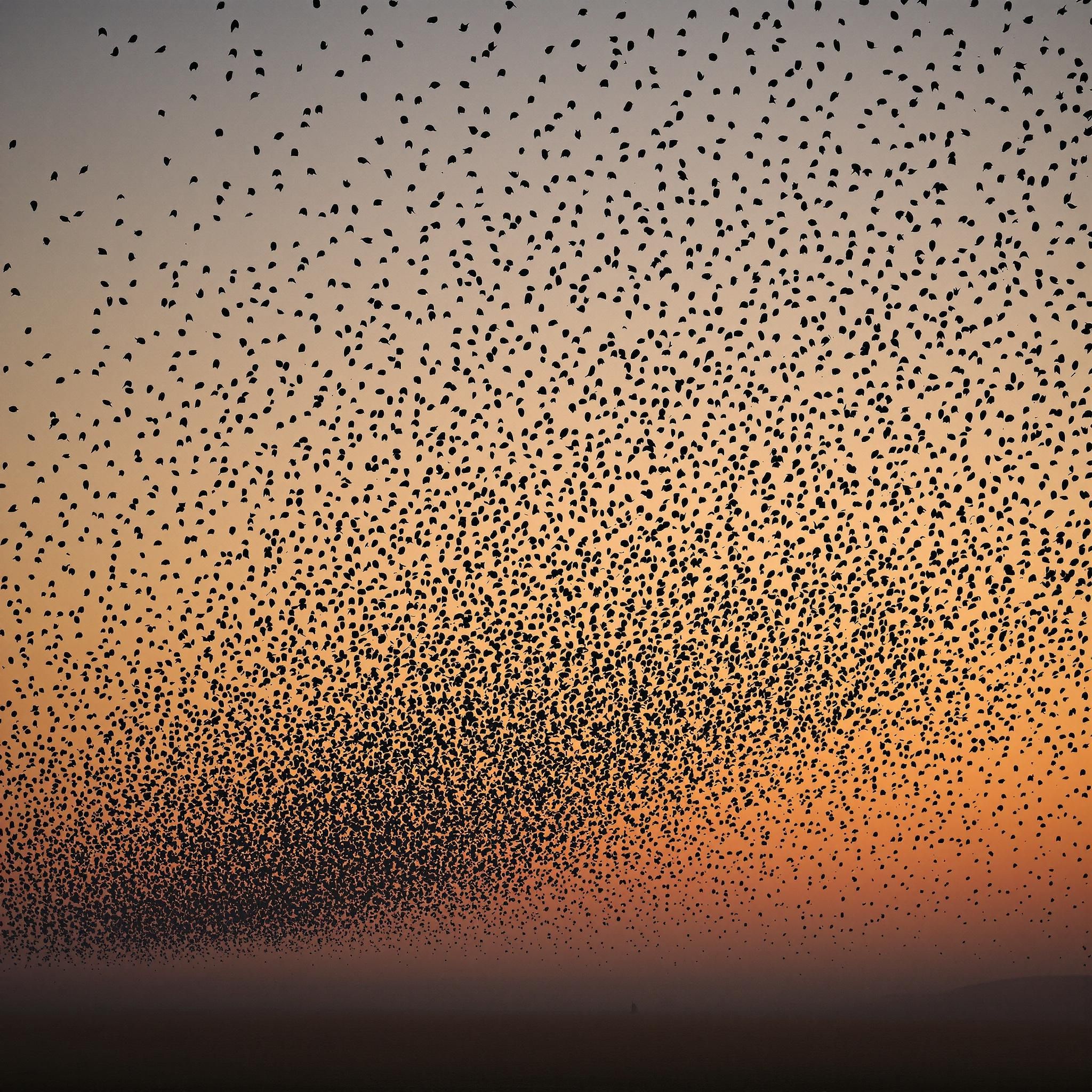 Metacognitive Reinforcement Learning for Self-Improving AI Systems
